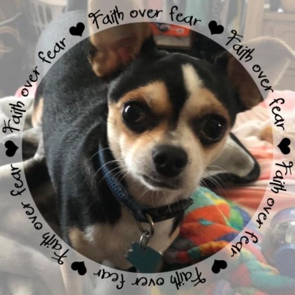 Meet your Posher, Susan - Picture 1 of 1